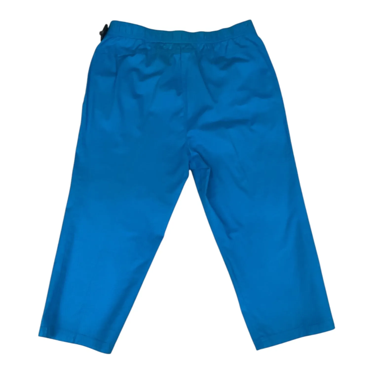 Pants Cropped By Sag Harbor In Teal, Size: 16